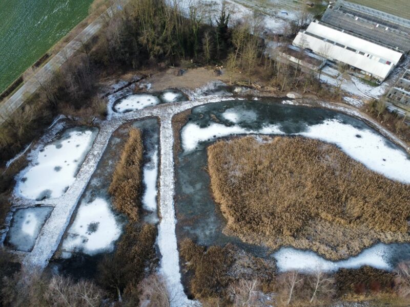 Revitalisation des Étangs de la Coulaz (IBN VD299)