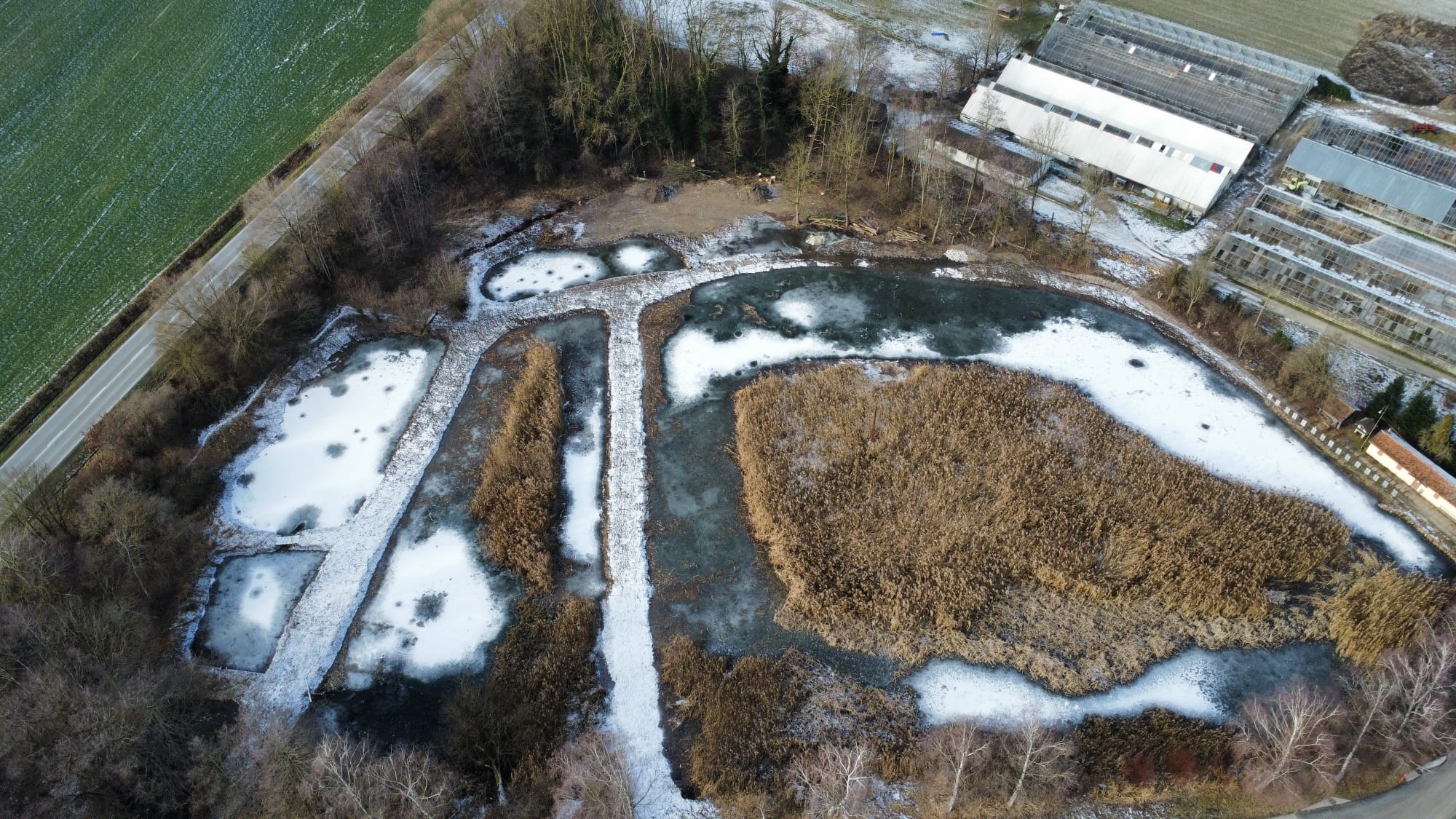 Revitalisation des Étangs de la Coulaz (IBN VD299)